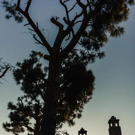 Villa La Pineta *